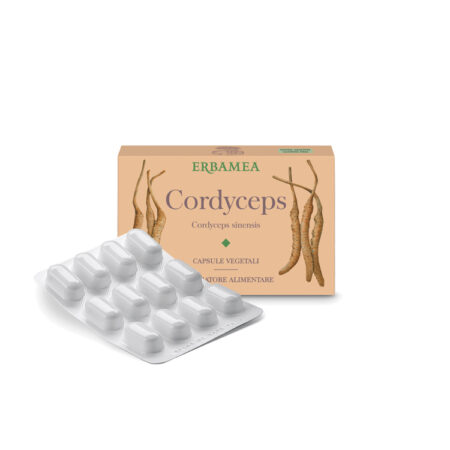 ERBAMEA CORDYCEPS